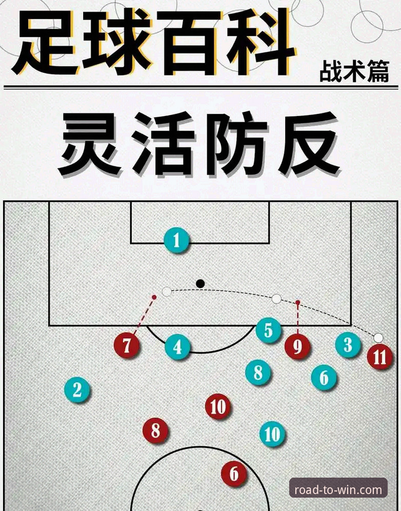 新手入门指南 vs 老手进阶技巧：易倍体育冠军之路使用指南全面解析